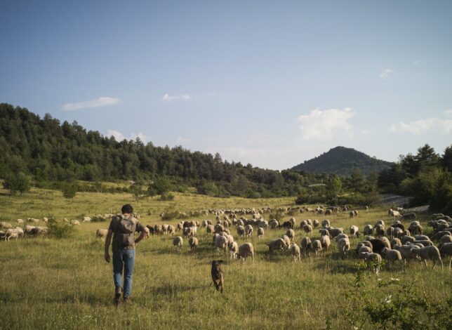 Transhumance - ©A.Brunet NEUS