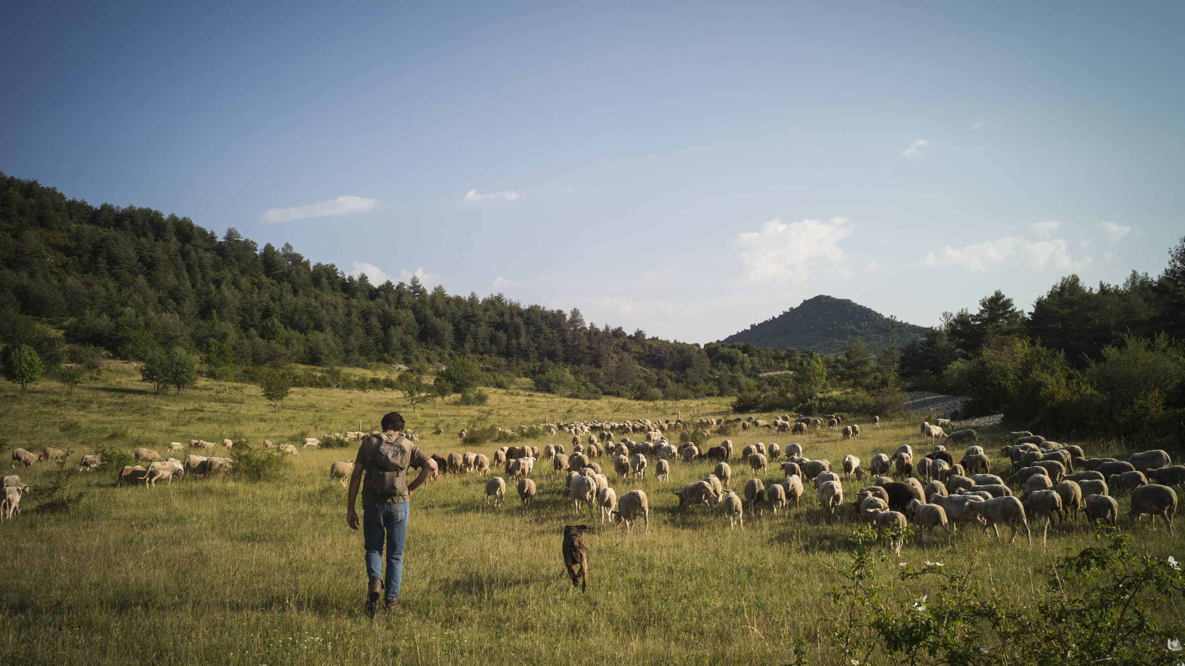 Transhumance – ©A.Brunet NEUS