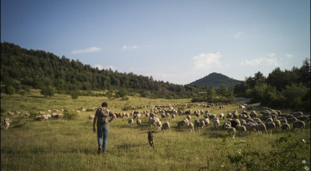 Transhumance ©A.Brunet NEUS