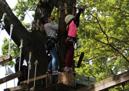 Bandeau Fullwidth - Accrobranche dans le Verdon