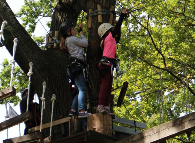 2026 - Fullwidth - Activité - Accrobranche dans le Verdon