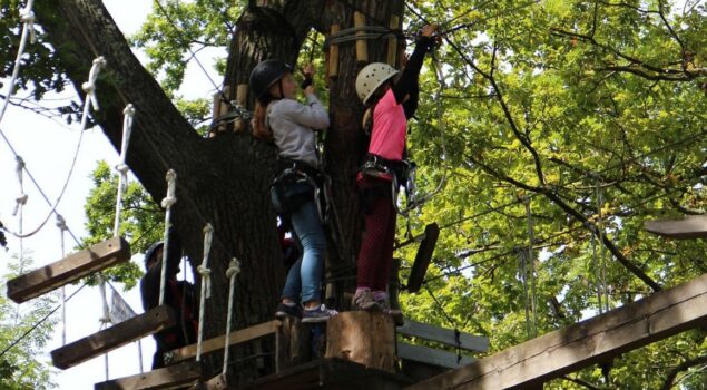 Cards - Accrobranche dans le Verdon